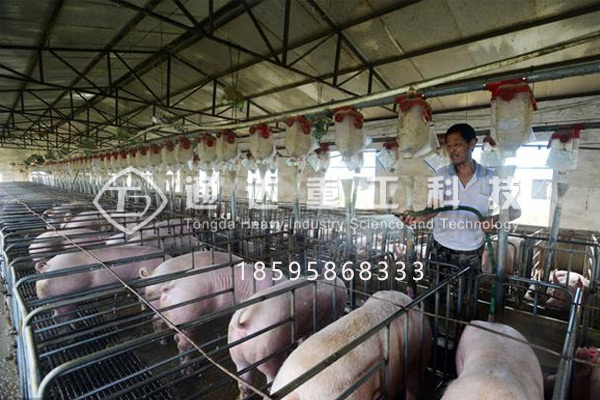 豬糞有機(jī)肥加工設(shè)備